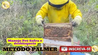 MÉTODO PÁLMER BRASIL 