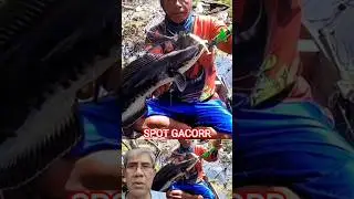 Mancing predator ganass