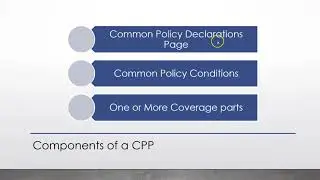 CPP Commercial Package Policy OVERVIEW