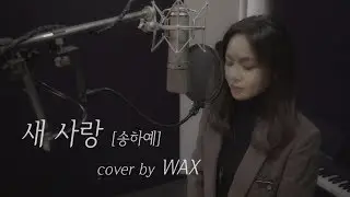 새 사랑 [원곡 : 송하예] - cover by WAX
