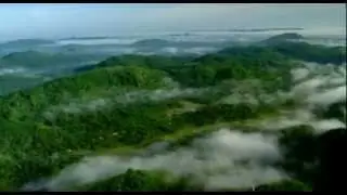 Dilmah Conservation environment song