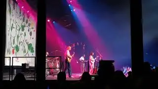 The Beths - Your Side (Live)