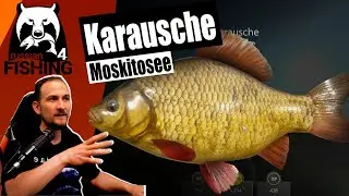 Russian Fishing 4 - Moskitosee - Karauschen Spot