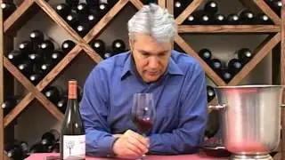 Terranoble 2007 Syrah Reserve, Colchagua Valley