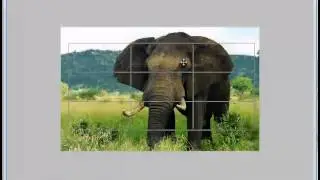 Using WordPress Featured Images with EZC Multi Caption Slider
