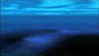 Goose the Green Sea Turtle Tracking Video - Sea Mounts