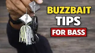 Buzzbait Tips to catch more BASS: Tackle Tuesday episode 9