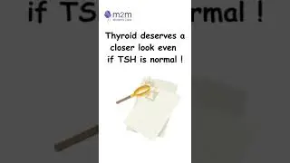 My thyroid levels are normal so i am good right ? m2m Womens Clinic