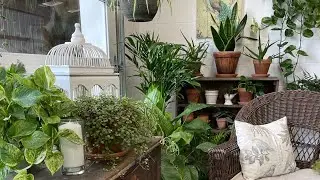 Plant Studio Makeover/House Plant Decor/Decorating with Plants/Plant Styling