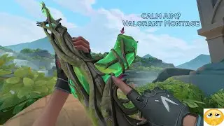 Calm Aim? (Valorant Montage)