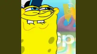 WET SPONGE