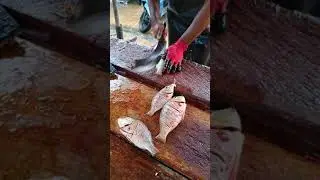 BBQ Cutting | Emperor Fish BBQ Cutting| Best BBQ Cutting Skills in Sri Lanka 🇱🇰