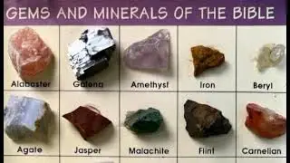 PROTECTION OF NATURAL RESOURCES IN THE PHILIPPINES 