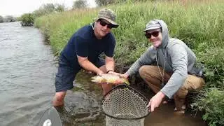 Madison River amigos - SD 480p