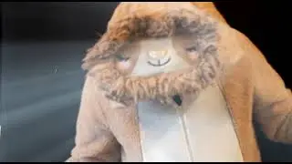 Cosmic Bass Sloth