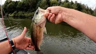 Summer transition bass fishing continues with a couple 2 pounders!  (9/17/24)