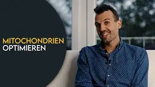 WIE optimierst du am BESTEN deine MITOCHONDRIEN?