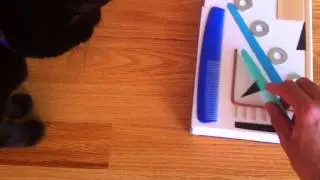 Luna investigates the Skatchbox