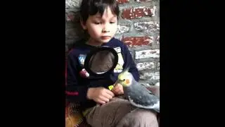 Valkparkiet Kuifie en haar vriendjes 4