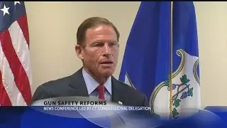Gun safety reforms