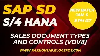Mastering #SAPSD Sales Document Types and Controls [VOV8]