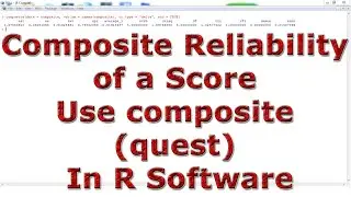Composite Reliability of a Score Use composite (quest) With (In) R Software