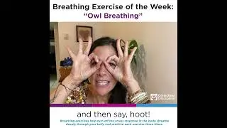 Owl Breathing