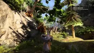 Dragon Age: Inquisition - The Hinterlands - Map to a Waterfall (Nightmare)