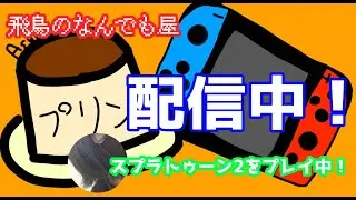 私に家のWi-Fiよ繋がってくれ雑談スプラトゥーン（アーカイブ）
