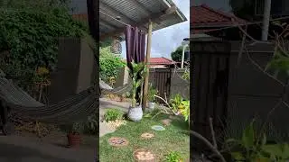 EL Litoral bed and breakfast In Coronado Panama