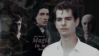 🏳️&zwj;🌈 Harry Potter | Magic in my Bones [Multigay | for Rebecca]
