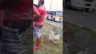 Baliza e percurso cat D(Cidade das Crian&ccedil;as.RJ)