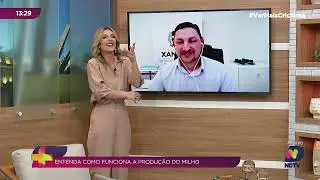 Xanxer&ecirc; se consolida como capital do milho em Santa Catarina