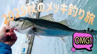 2025秋 江の島メッキ釣り旅【#メッキ釣り #釣り旅 #ルアーフィッシング #江の島 #片瀬江ノ島 】