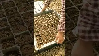 Smart Way of Potting Soil Filling #farmingtech