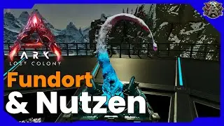 R Seed - Nutzen und Fundort - ARK Survival Ascended - Lost Colony - ASA