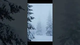 Extreme snowfall in himachal Pradesh #dreamscreenai #mountains #heaven #travel #snowfall #snow