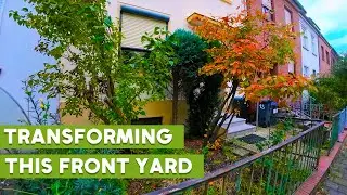 BRINGING LIFE BACK TO A FORGOTTEN FRONT YARD...