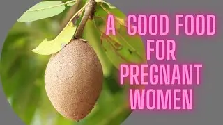 Sapodilla A Very Good Food For Pregnant women.