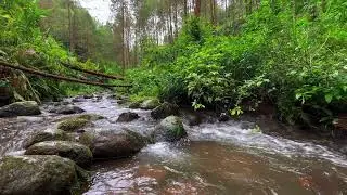 Relaxing Mountain Stream Sounds, Forest river Sounds for deep sleep, stress reliever, and meditation