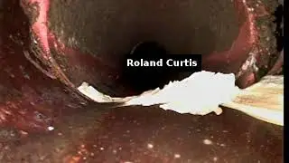 Rolland Curtis