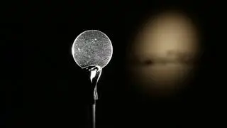 Jim Hobbs - Metronomes