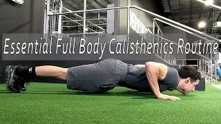 Essential Full Body Calisthenics Routine