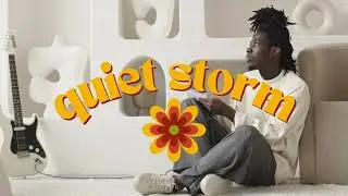 QUIET STORM / Black Pumas x D'Angelo Type Beat / VINTAGE SOUL