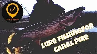 Lure fishing for canal Pike in Autumn