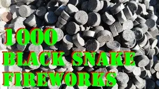 1000 Black Snake FIREWORKS at once!!!