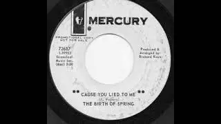 The Birth Of Spring - Cause You Lied To Me 2025 Stereo Remix