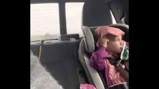 Wait for it&hellip;cows!!!