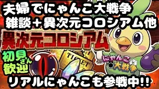 ネス垢異次元コロシアム【初見さん大歓迎】夫婦実況+リアルにゃんこでまったりにゃんこ大戦争・雑談🐾ライブ配信#102 #にゃんこ大戦争 #縦型配信 #ライブ配信 #shorts #shorts #初見
