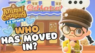 Who will show up next? Let's design more hotel rooms!  Animal Crossing 3.0 Update